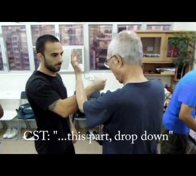 Wing Chun's Extraordinary Power Demonstrated by Chu Shong Tin