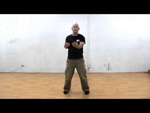 Wing Chun - Biu Jee Form