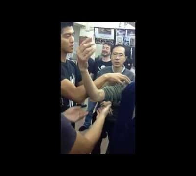 Wing Chun 'Elbow Force' demo - CST