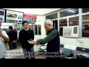 Chu Shong Tin Wing Chun -  Garn Sau demo