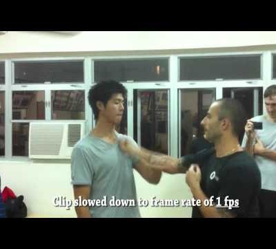 Wing Chun's Speed using the Nim Tao state - Nima King, Chu Shong Tin