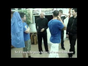 Wing Chun's Biu Jee Power  - spinal vertebrae rotation